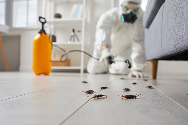 Commercial Kitchen Cockroach Control in Kachina Village