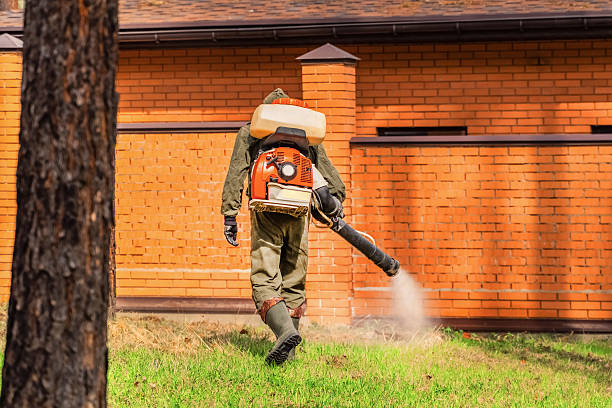Cockroach Follow-Up and Monitoring in Kachina Village